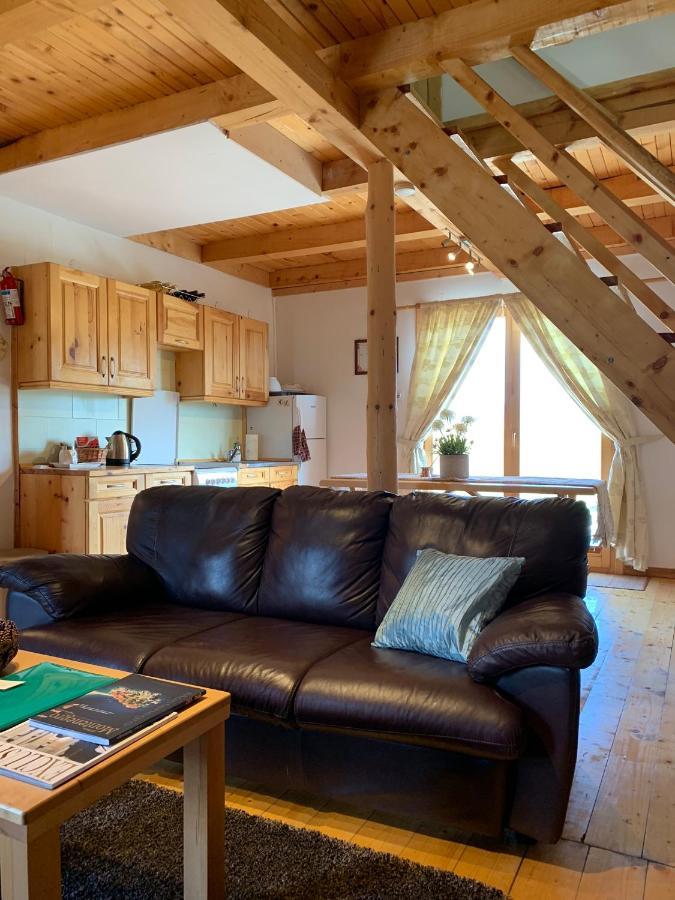 Mountain Vista Chalet Žabljak Dış mekan fotoğraf