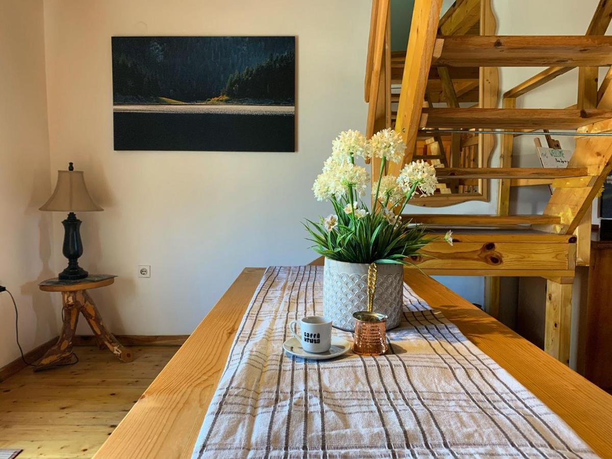 Mountain Vista Chalet Žabljak Dış mekan fotoğraf